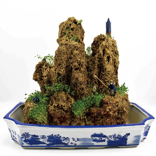 精品上水石假山盆景吸水石天然奇石原石創意禮品家庭景觀奇石裝飾