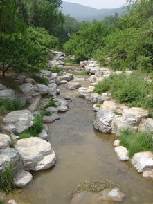 水泥假山設(shè)計的作用